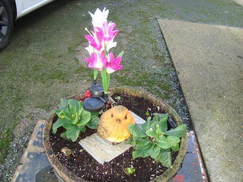 Ngoại cảnh khách sạn