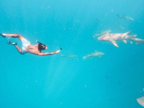 Thể thao và hoạt động