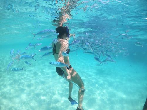 Thể thao và hoạt động