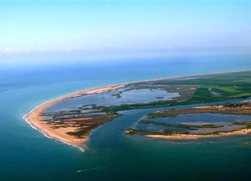 Khu vực xung quanh