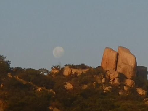 Khu vực xung quanh