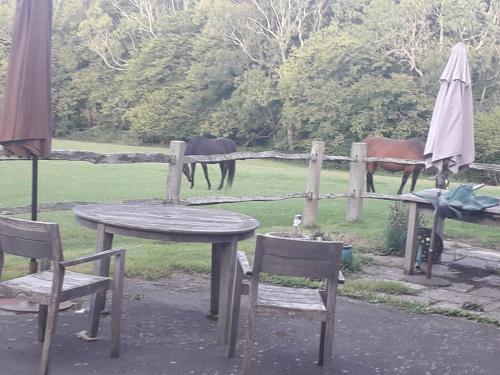 Cơ sở vật chất