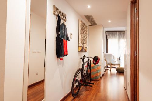 Thể thao và hoạt động