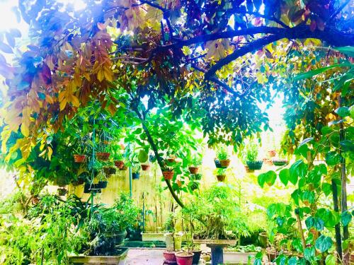 Khu vực xung quanh