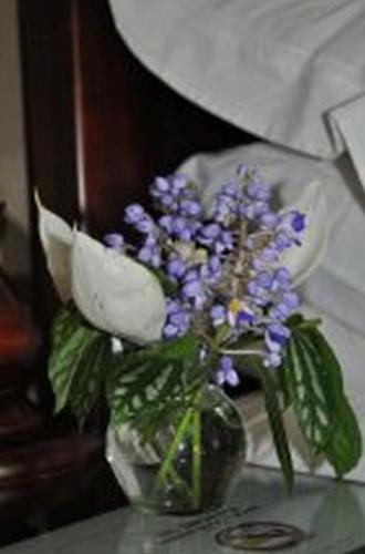 Cơ sở vật chất