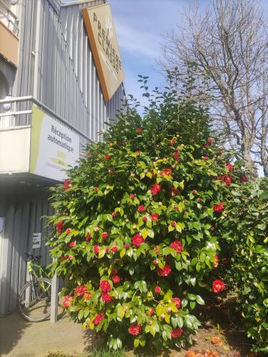 Ngoại cảnh khách sạn