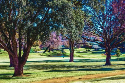 Khu vực xung quanh