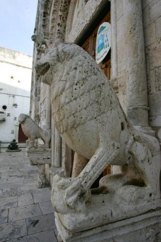 Nơi tham quan gần đây