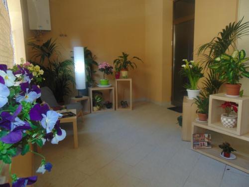 Ban công/sân hiên