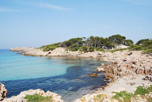 Khu vực xung quanh