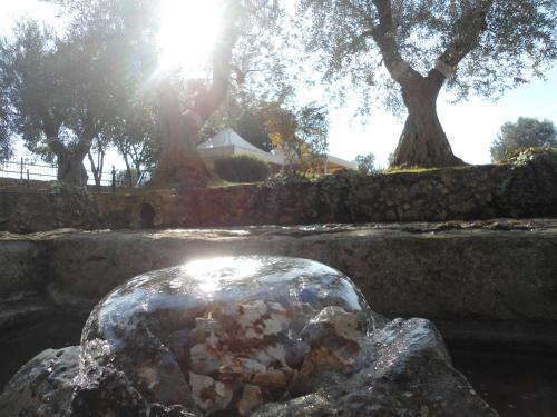 Khu vực xung quanh